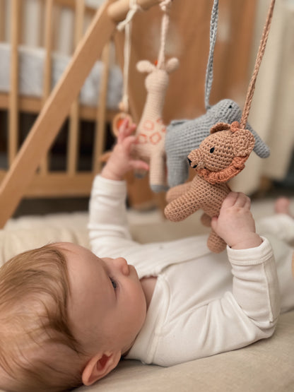 Wooden 'crochet animal' play gym
